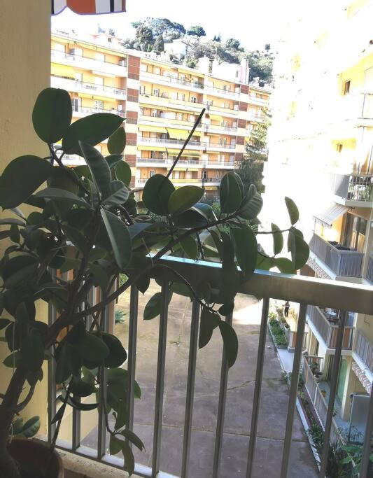Apartamento Santa Severina, Trilocale Comodo E Pratico Centro Citta Menton